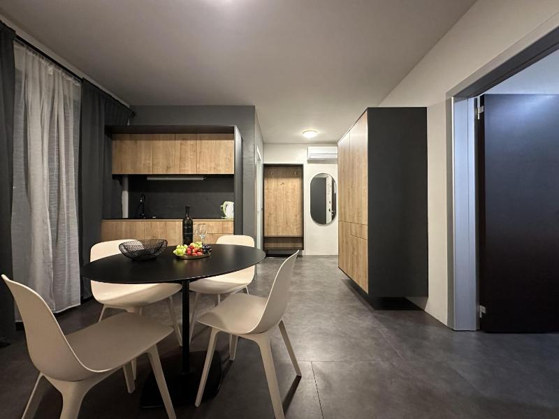 One-Bedroom Apartment with Balcony image 4