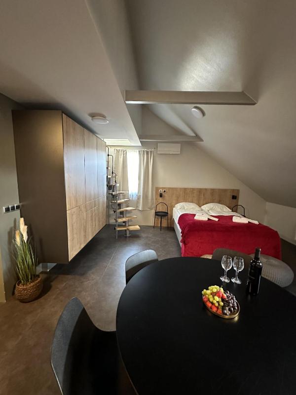 Superior Duplex Apartment image 4