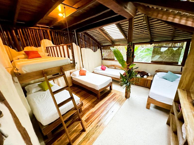 Casa Vida Verde - image 11