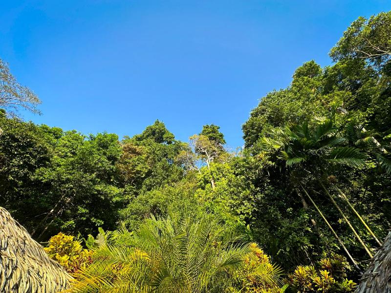 Casa Vida Verde - image 14