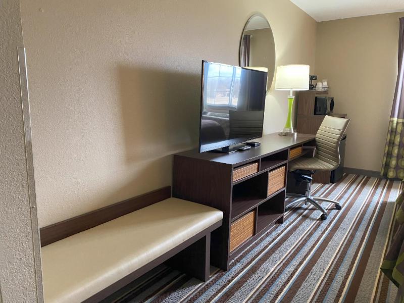 Deluxe King Studio Suite - Non-Smoking image 1