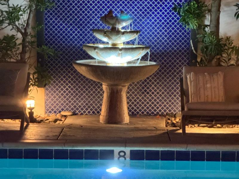 Lucille Palm Springs - image 42