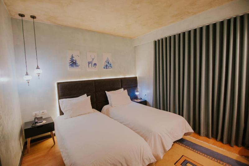 Standard Twin Room image 1