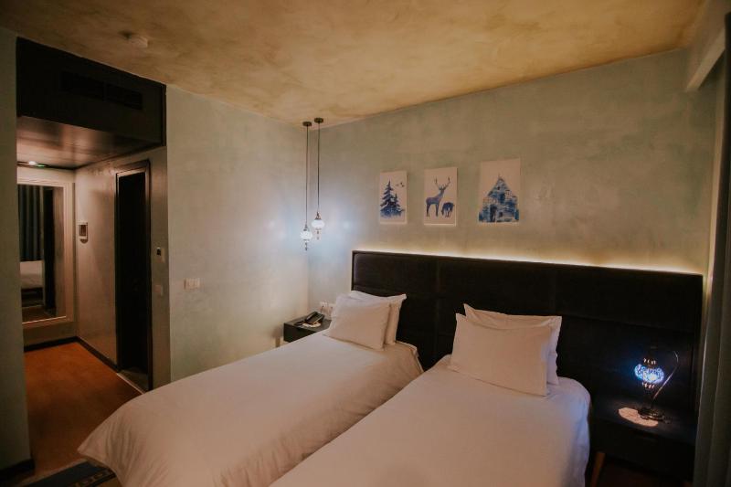 Standard Twin Room image 2