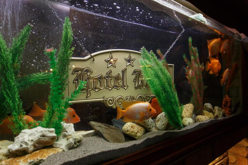 Apartment (3 Adults) image 1