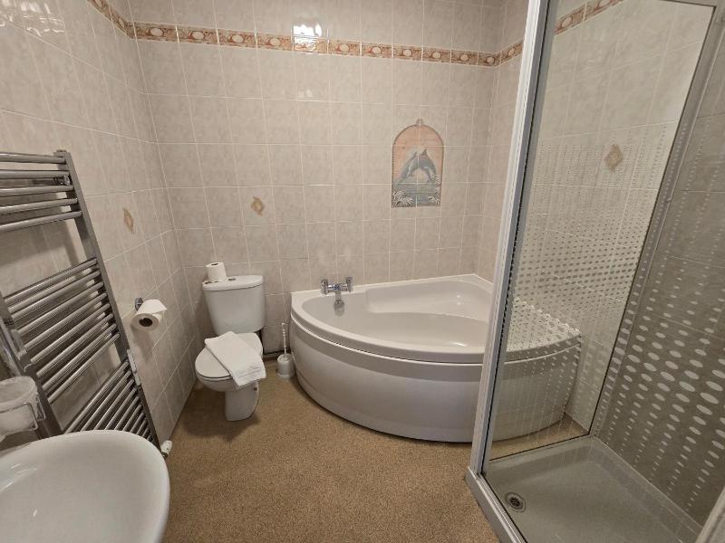 Deluxe Double Room image 2