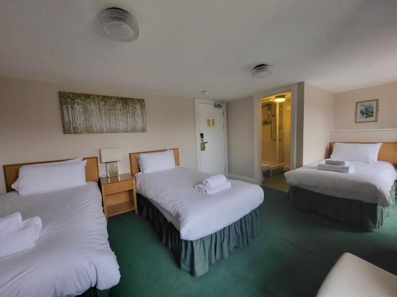 Standard Triple Room image 2