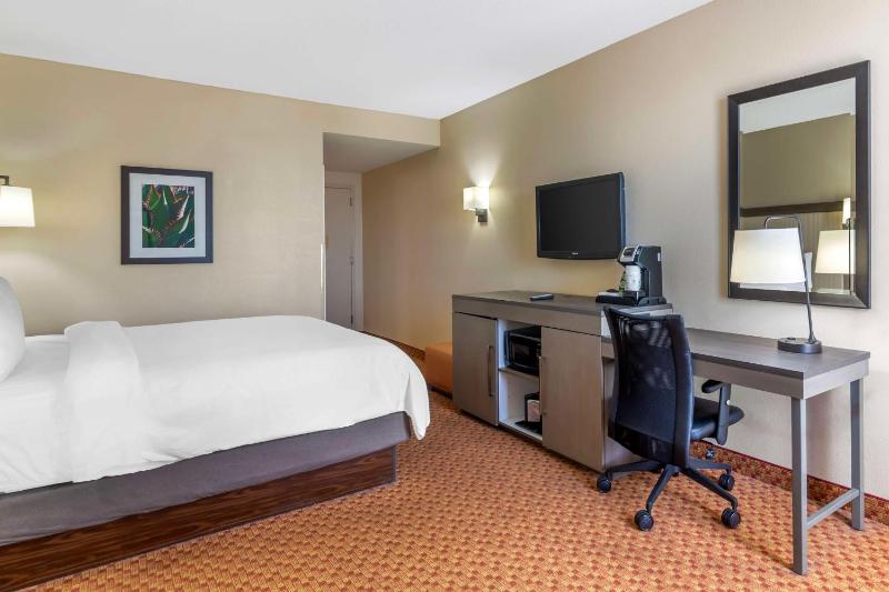 King Room - Non-Smoking image 4