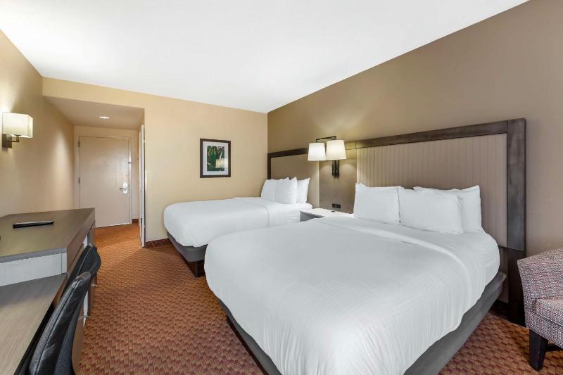 Queen Room with Two Queen Beds - Non-Smoking image 3