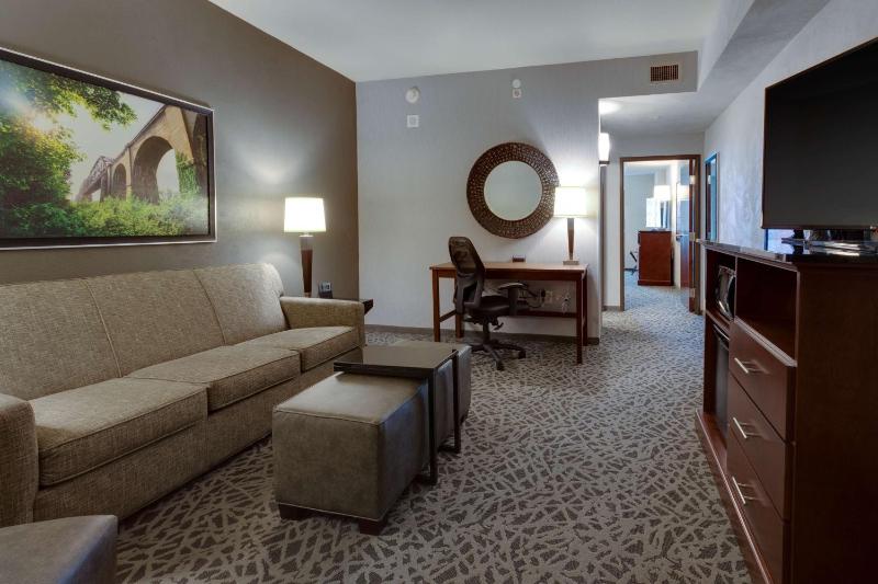 Deluxe King Suite image 3