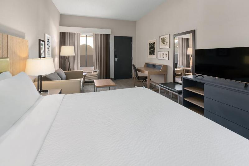 Standard King Room with Sofa Bed - Non-Smoking image 3