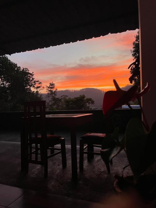 Cozy Homestay - image 7