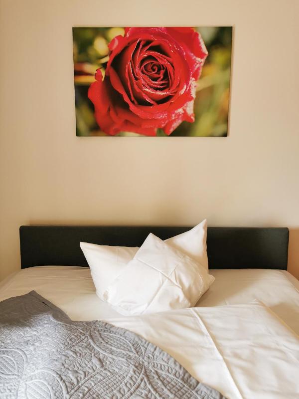Single Room image 3