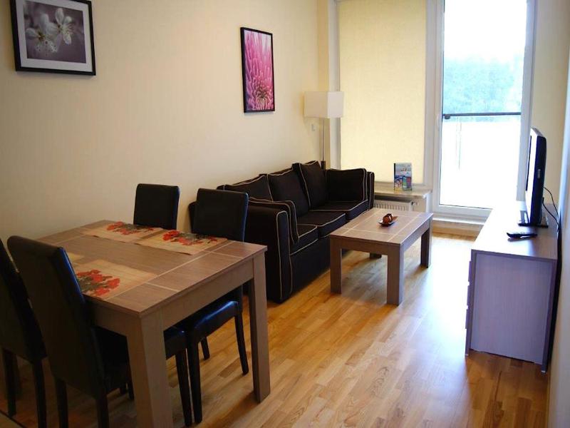 One-Bedroom Apartment (2 - 4 Adults) image 4