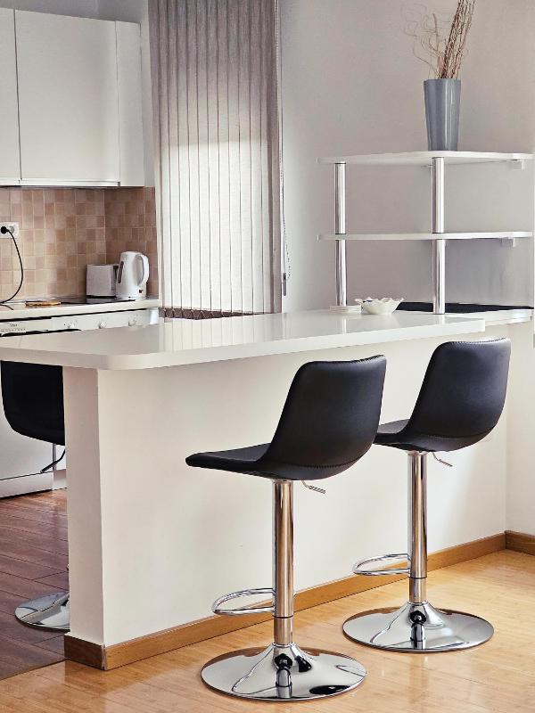 One-Bedroom Apartment image 3