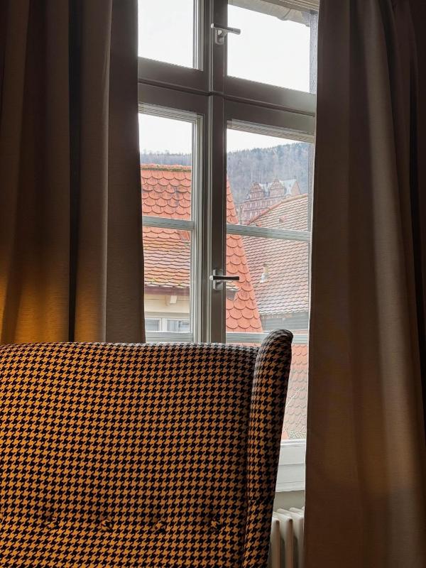 Deluxe Double Room image 4