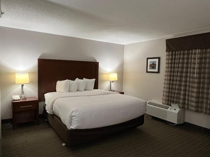 Premium King Room - Non-Smoking image 3