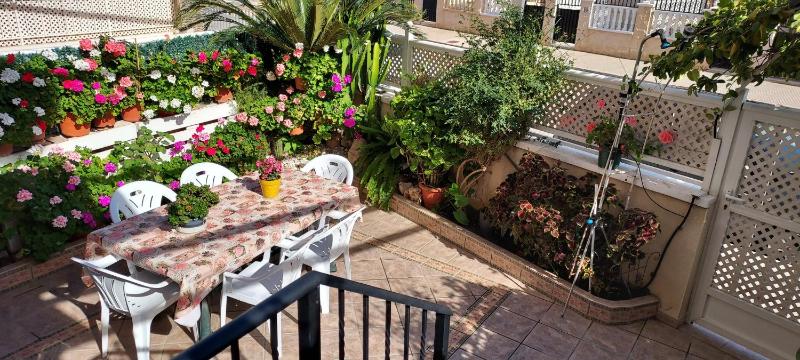 Villa Adelina en Santa Pola - image 14