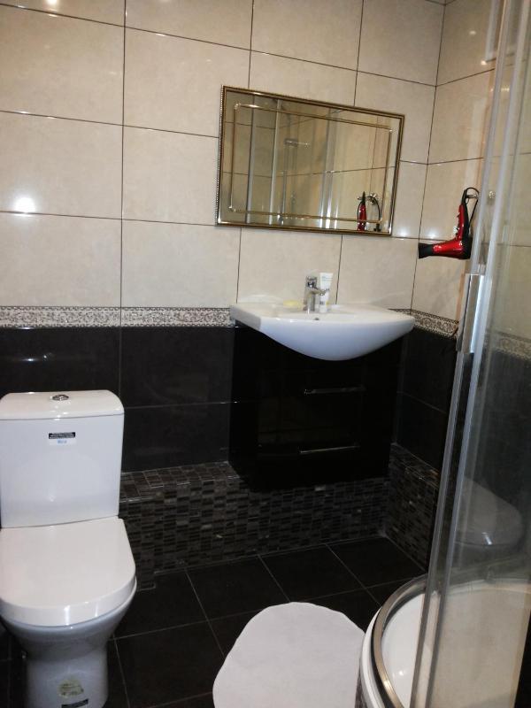 One-Bedroom Apartment image 1