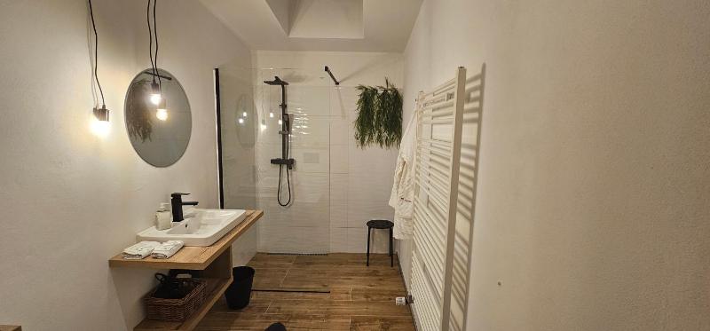 One-Bedroom Apartment image 4