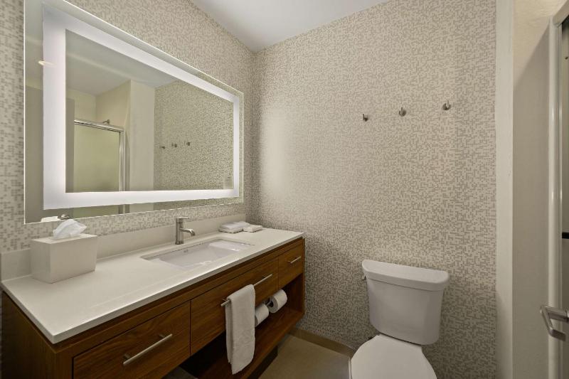 King Studio Suite - Non-Smoking image 4