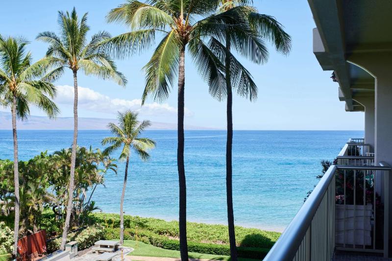 1-Bedroom Ocean View Suite image 4