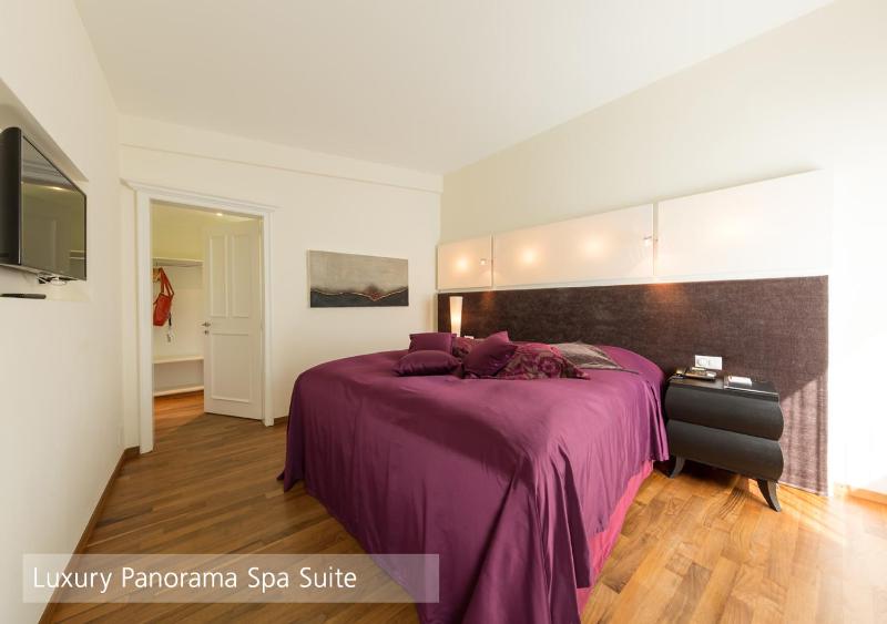 Luxury Panorama Spa Suite  image 4