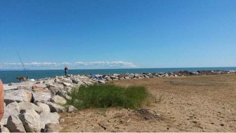 Enjoy the sea from our relaxing flat - image 2