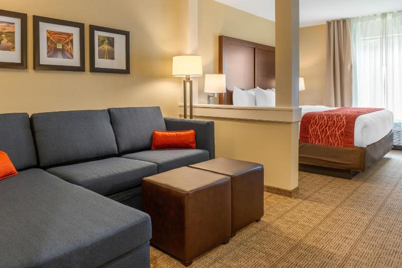 One-Bedroom King Suite - Non-Smoking image 1