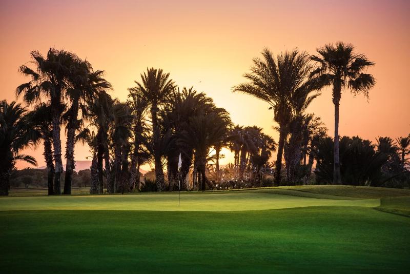 Palmeraie Du Golf Suites By Pickalbatros - image 7