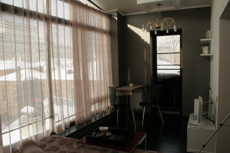 Studio with Terrace image 3