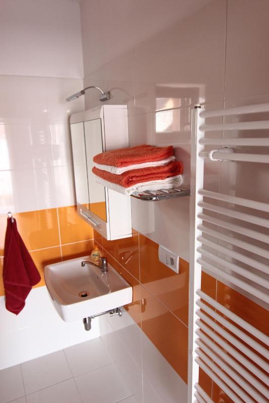 One-Bedroom Apartment image 2
