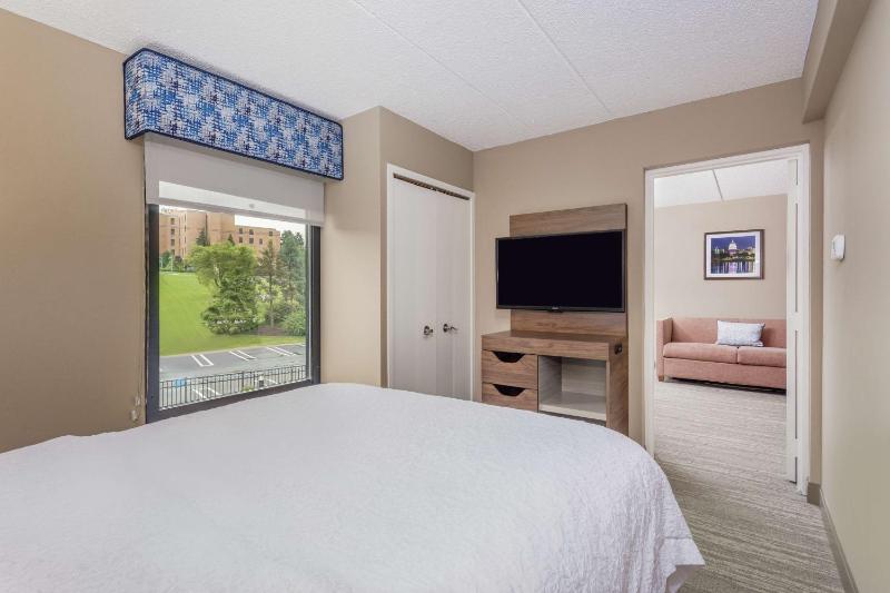 One-Bedroom Queen Suite with Sofa Bed - Non-Smoking image 3
