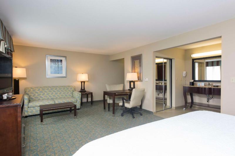 King Studio Suite with Sofa Bed - Non-Smoking image 3