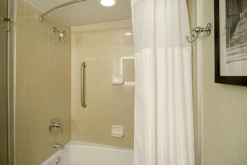 One-Bedroom King Suite - Non-Smoking image 2