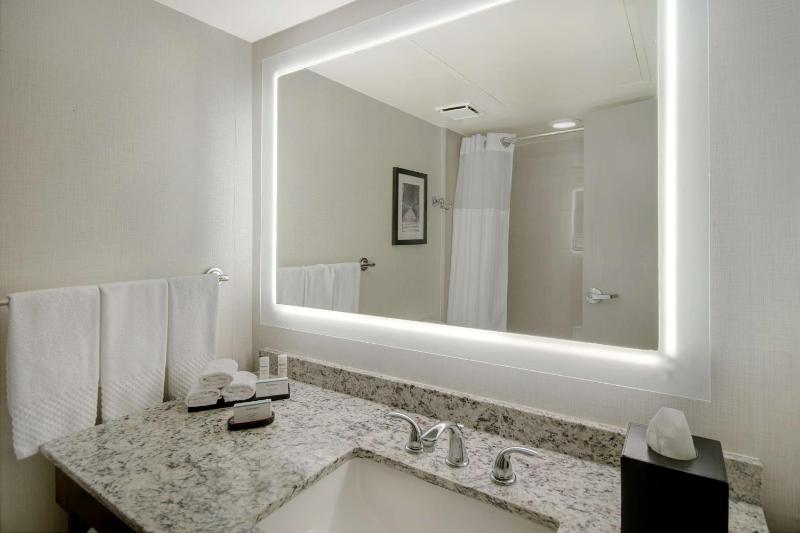 One-Bedroom King Suite - Non-Smoking image 3