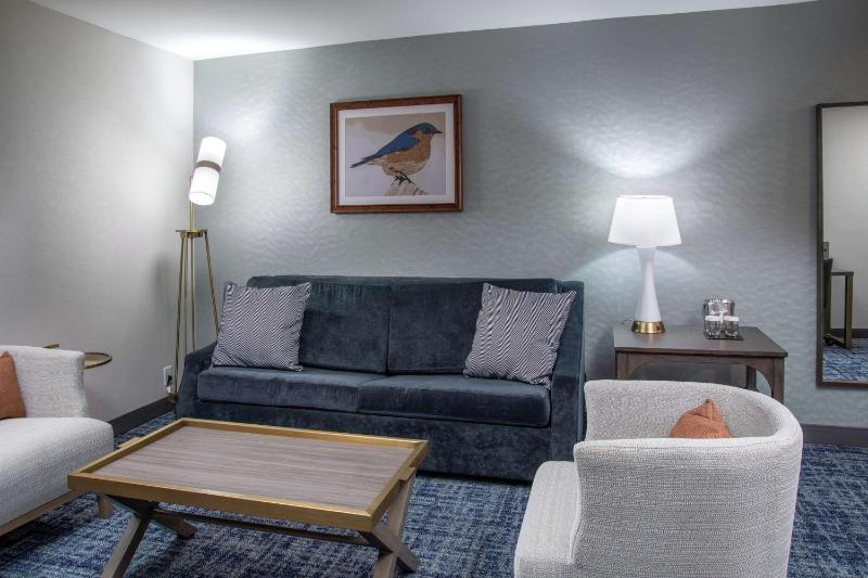 King Studio Suite image 3