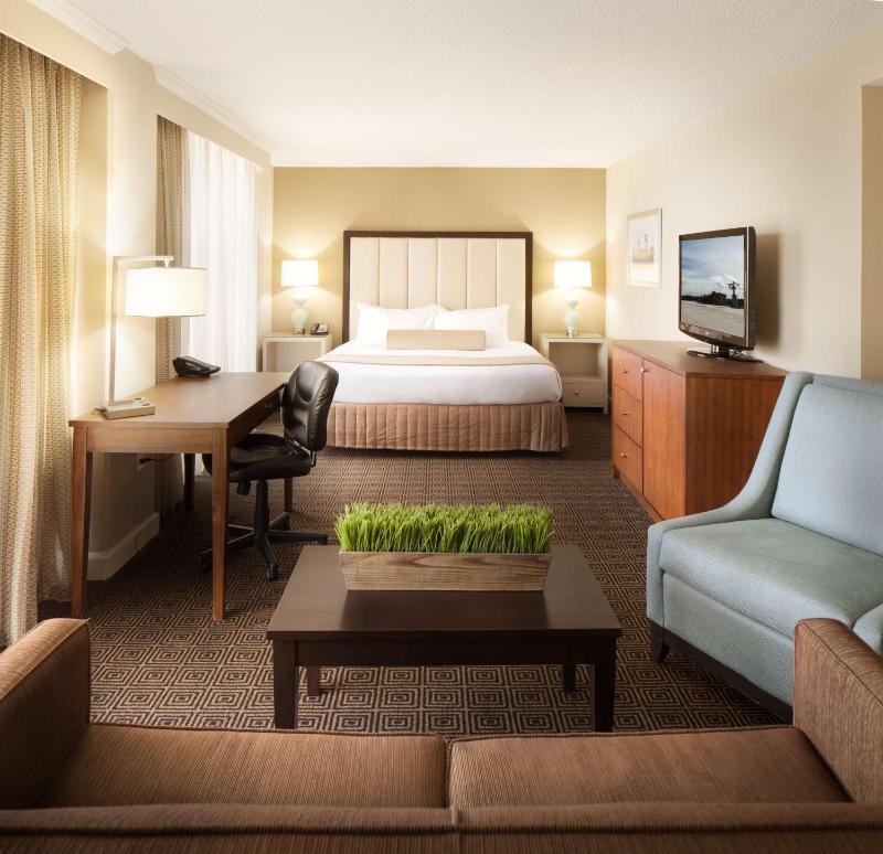 Junior King Suite image 4