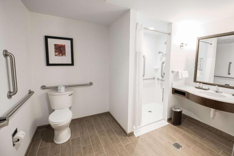 King Room with Roll-In Shower - Mobility/Hearing Accessible image 4