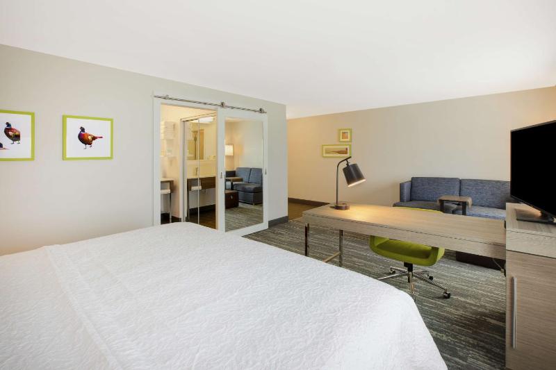 King Studio Suite - Non Smoking image 3
