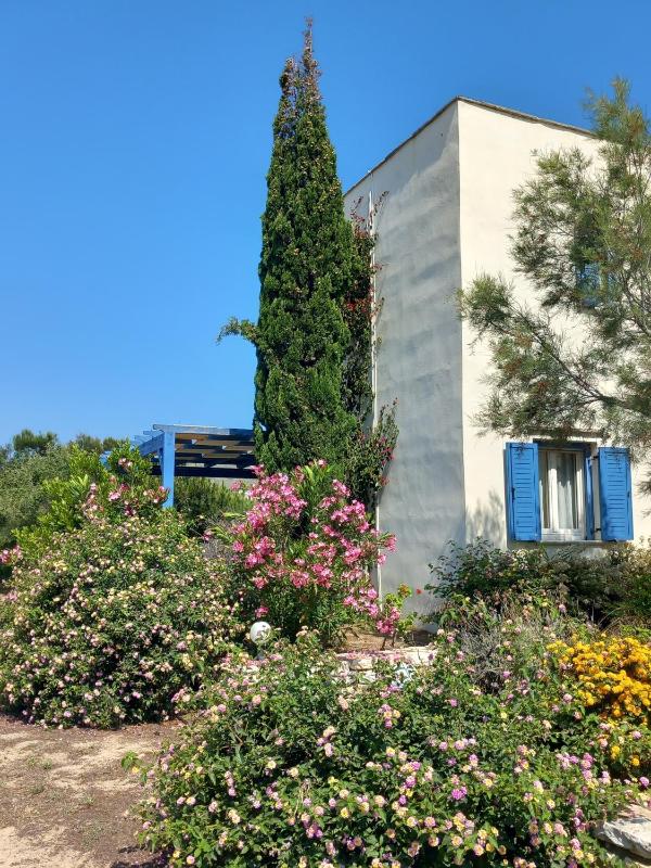Villa Sea View image 3