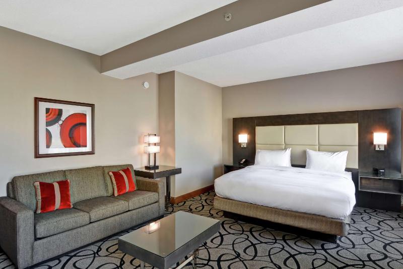 King Studio Suite image 3