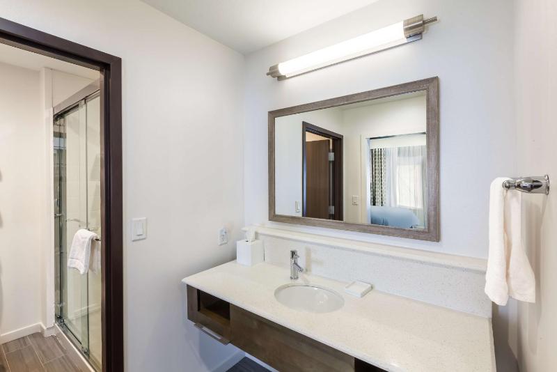 King Studio Suite - Non Smoking image 2