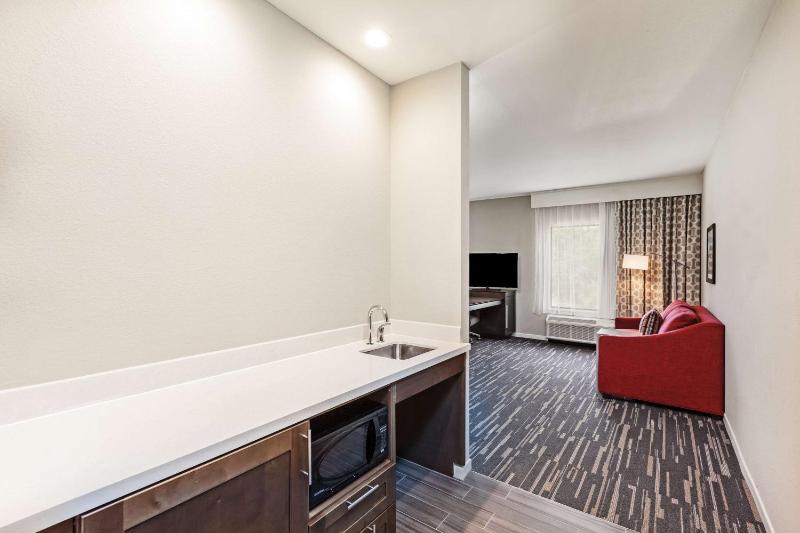 King Studio with Roll-In Shower - Mobility Access/Non-Smoking image 3