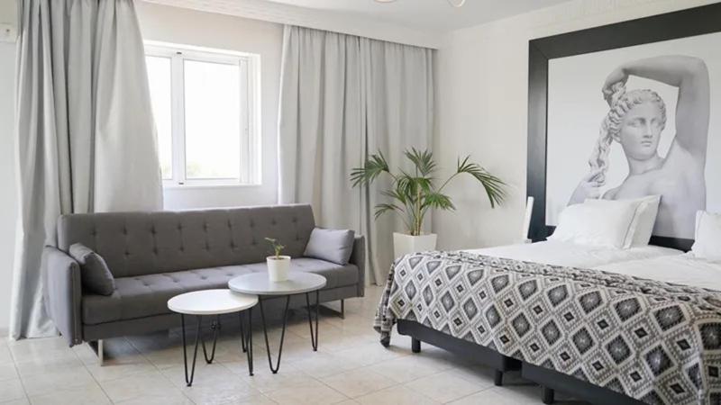 Premium Suite image 4