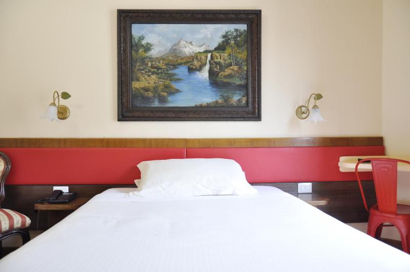 Superior Single Room image 4