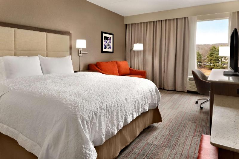 Deluxe King Room with Sofa Bed - Non-Smoking image 4