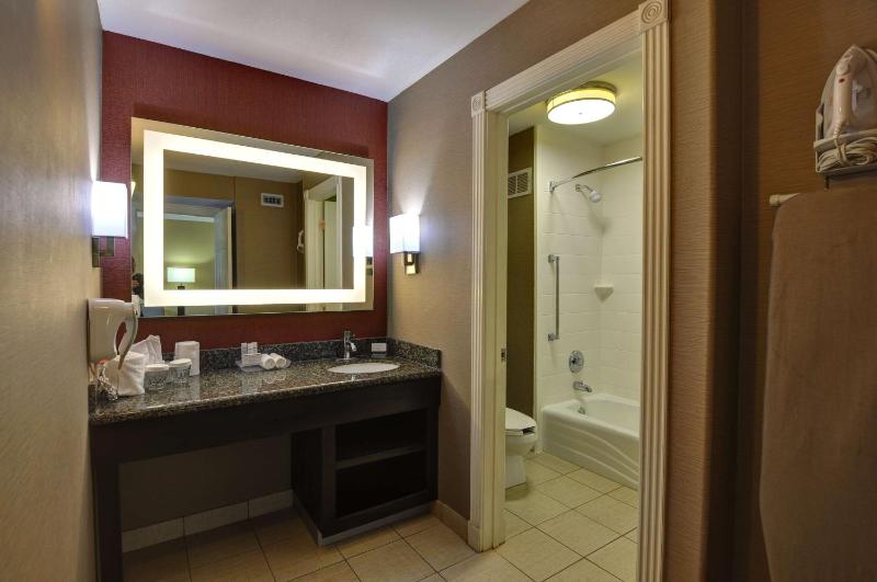 One-Bedroom King Suite - Non-Smoking image 2