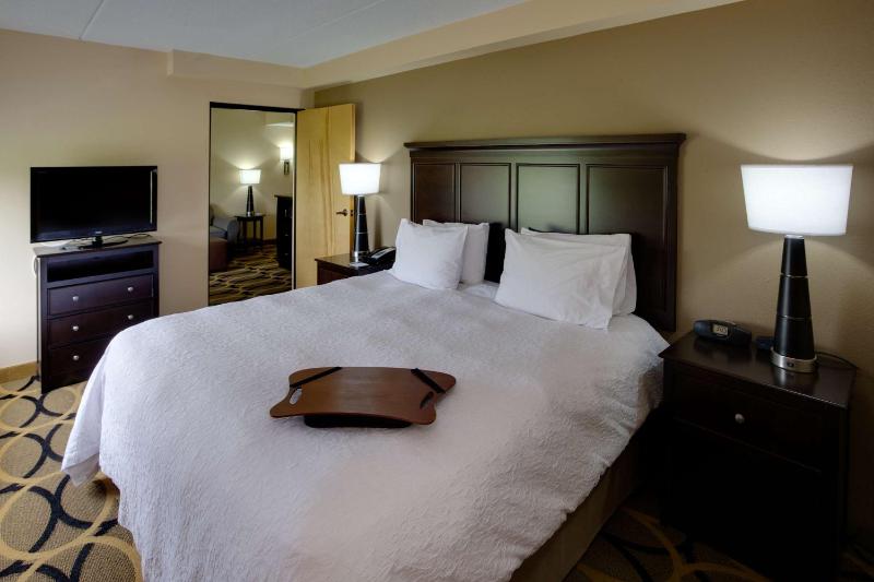 One-Bedroom King Suite with Fireplace - Non-Smoking  image 3