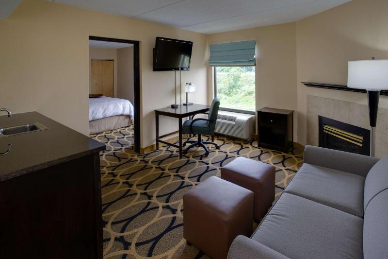 One-Bedroom King Suite with Fireplace - Non-Smoking  image 1